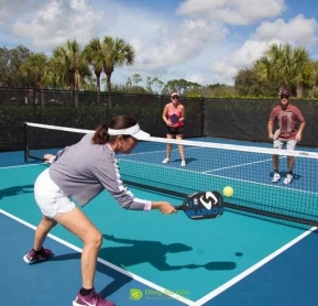Hướng dẫn chơi pickleball cho người mới bắt đầu